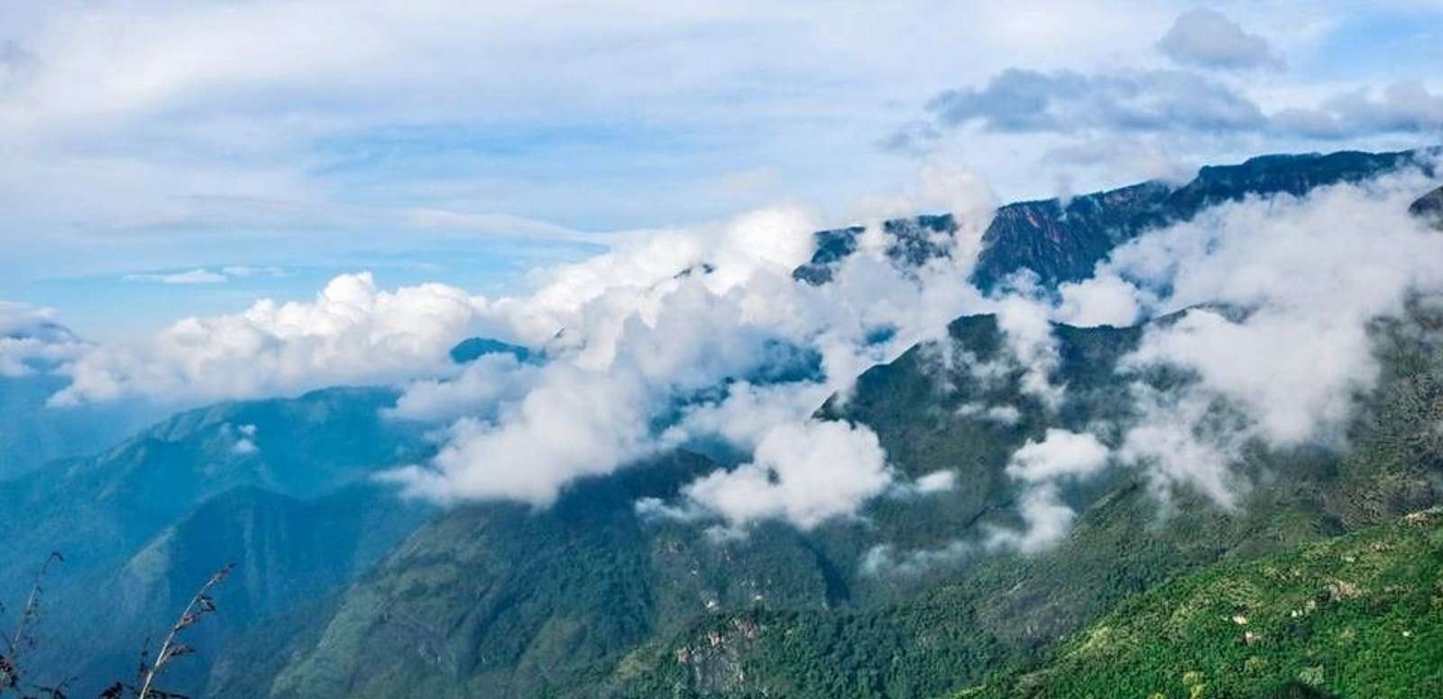 Canopy Hill, Vattakanal