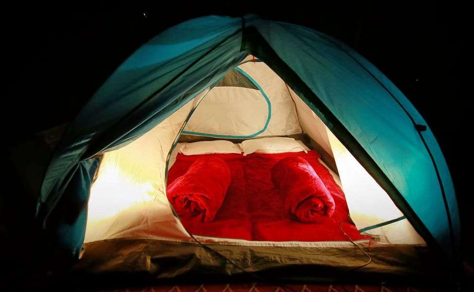 Camping Amidst Pear Orchard 