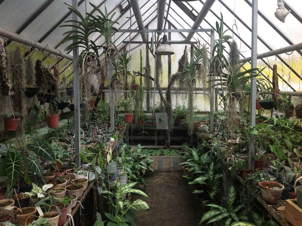 Stroll Around the Botanical Garden  