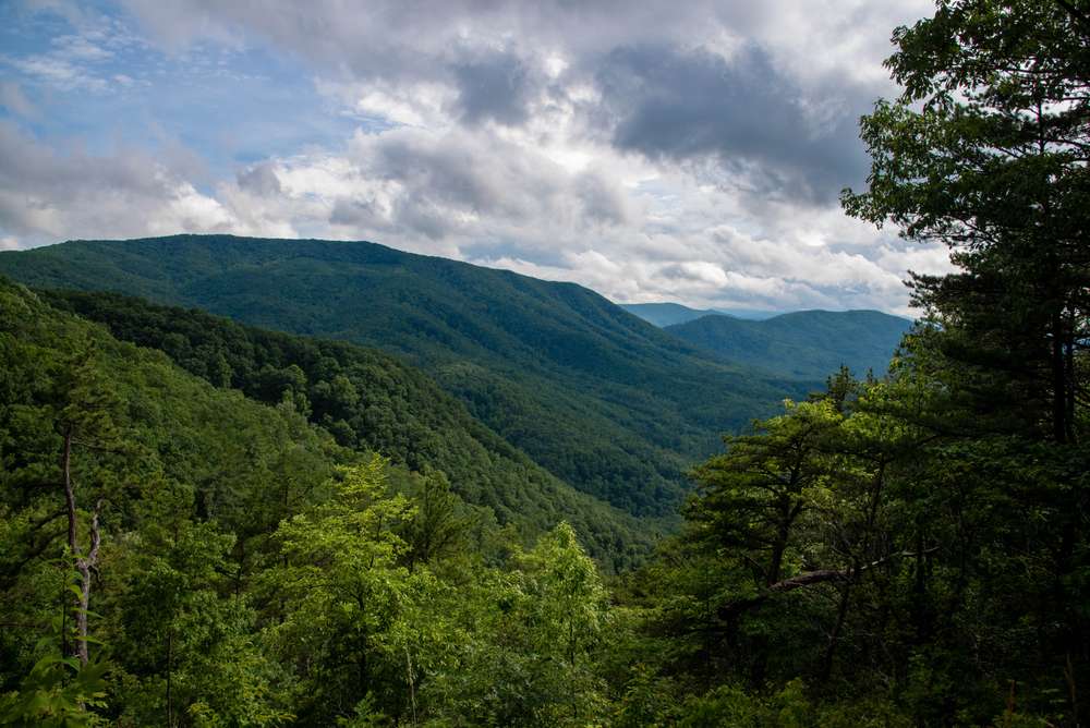 View the City from Lockhart Gap View Point