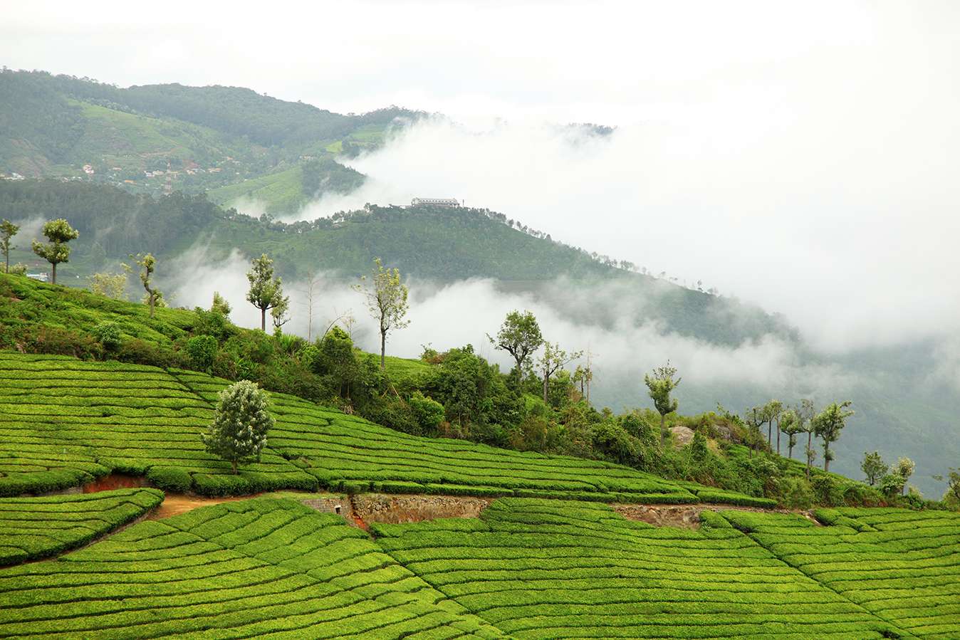 Coonoor - 538.6 km from Chennai