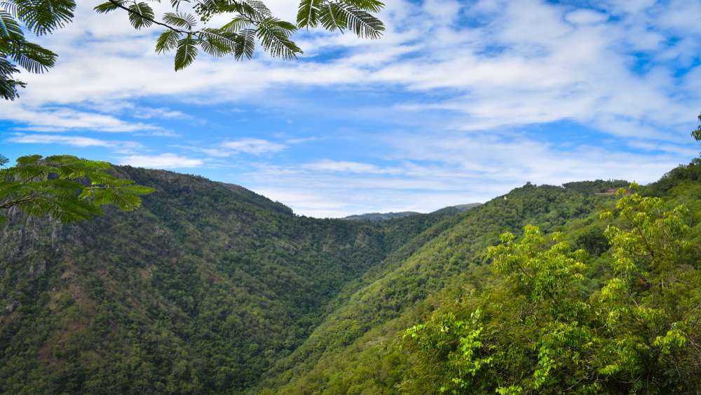 Kolli Hills - 360.4 km from Chennai