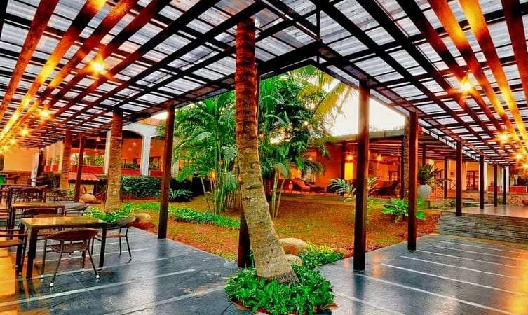 Wildflower Prakruthi