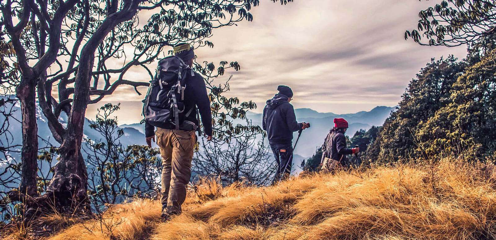 Blossom Park Dark Forest