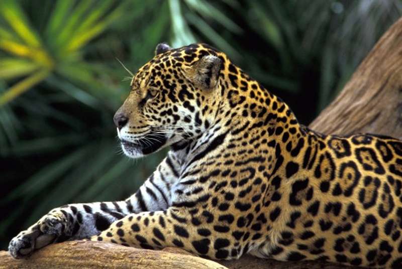 Visit Jijamata Udyan