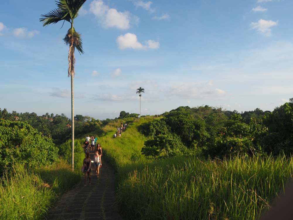Hike in the Countryside of Ubud