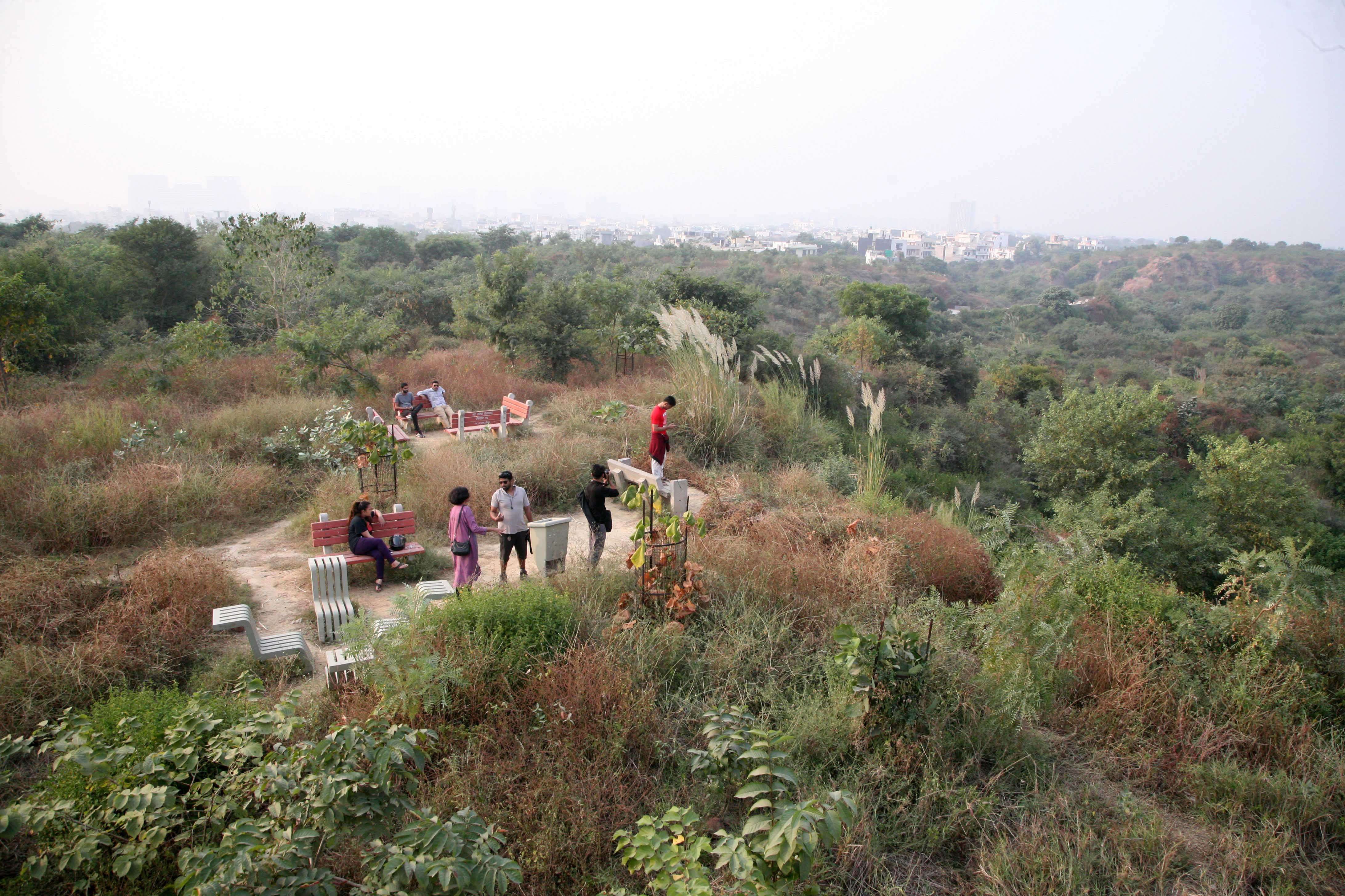 Aravali Nature View