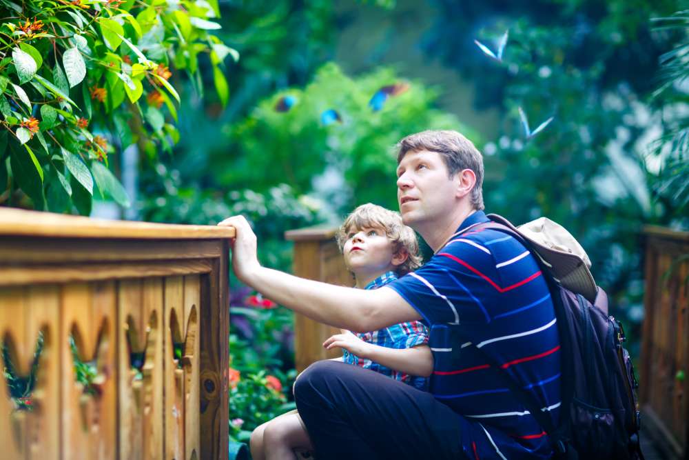 Visit Butterfly Garden