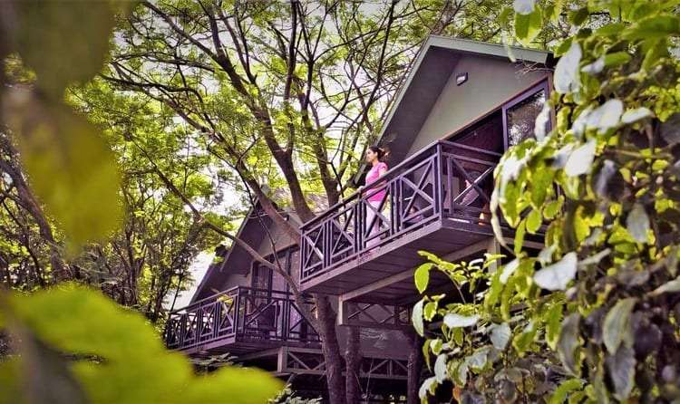 Anandvan Resort, Bhandardara (151 km from Mumbai)