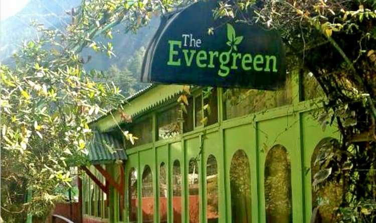 The Evergreen