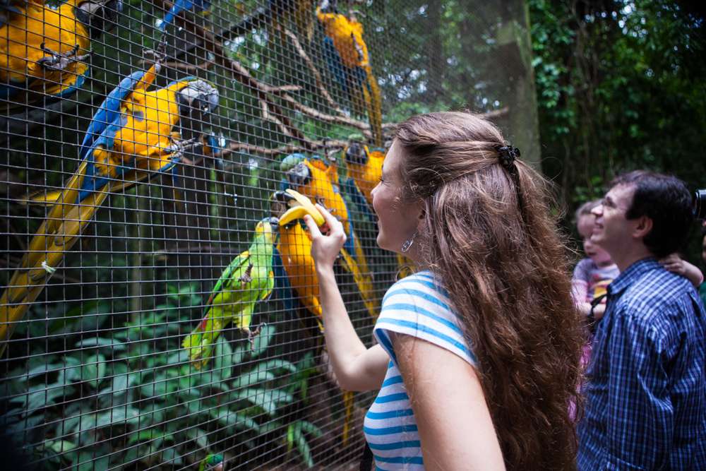 Phuket Bird Park 