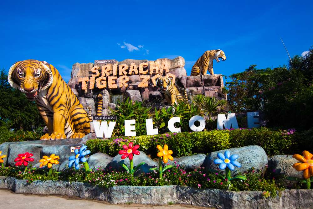 Visit Sriracha Tiger Zoo, Pattaya