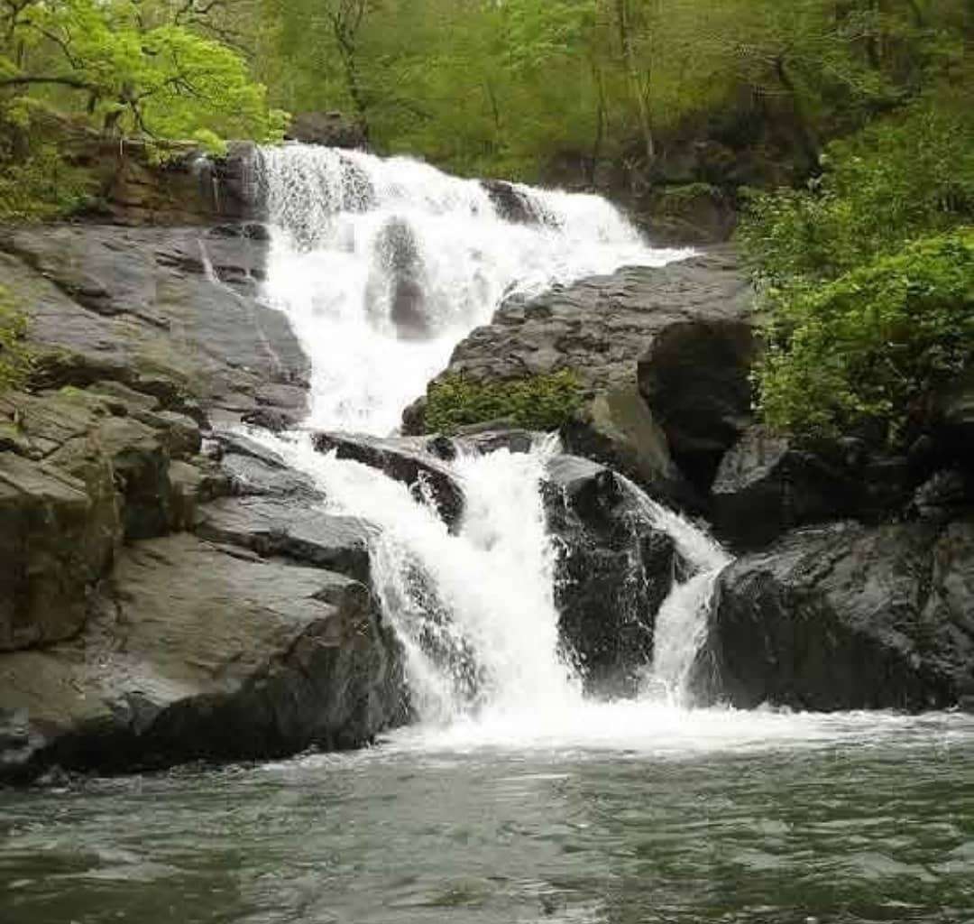 Chinchoti Waterfall (60 km from Mumbai)