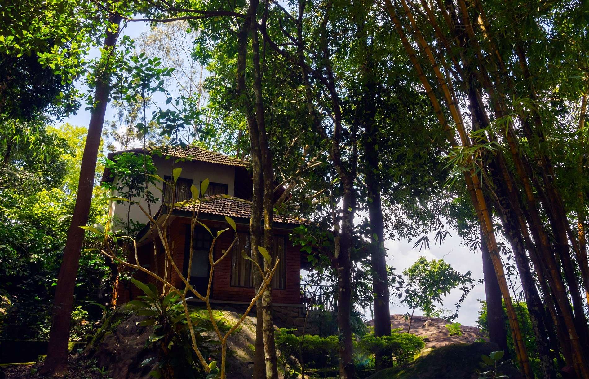 Edakkal Hermitage Resort