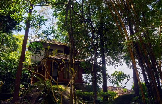 Edakkal Hermitage Resort