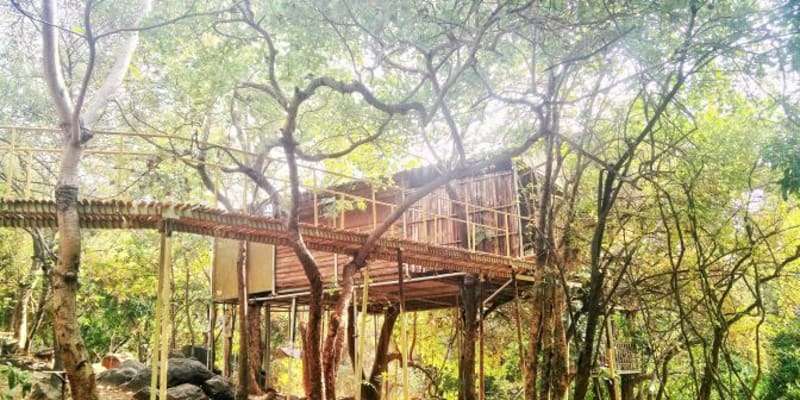 The Jungle Farm, Thane