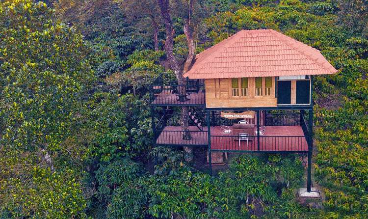 Marmalade Springs Resort