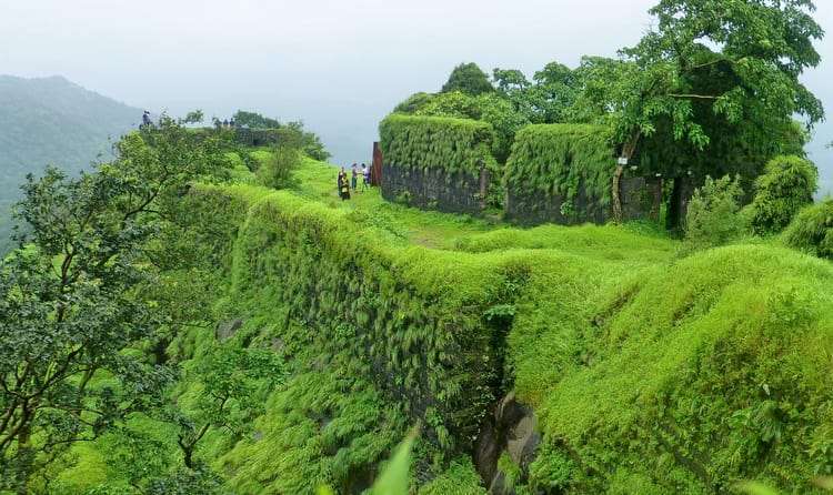Karnala (122 Km from Pune)