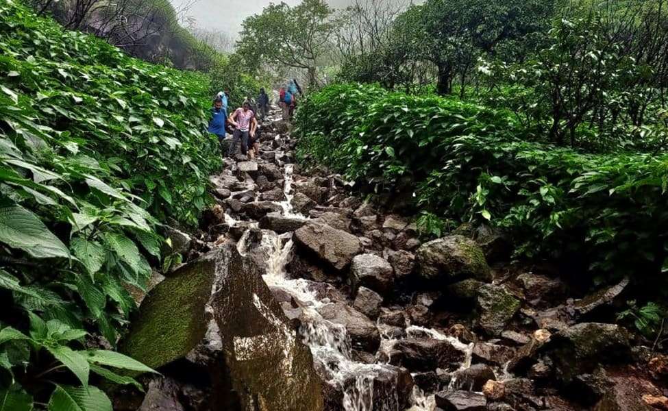 Visapur Fort (64 Km from Pune)