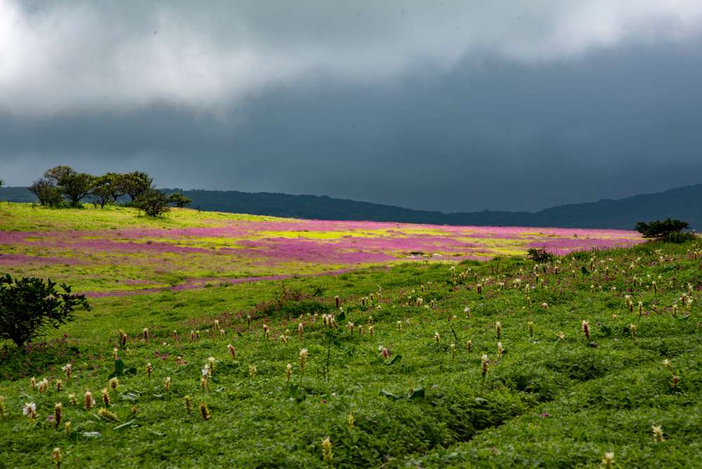 Satara (110 km from Pune)