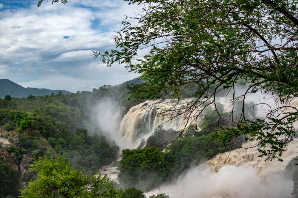  Bharachukki Falls