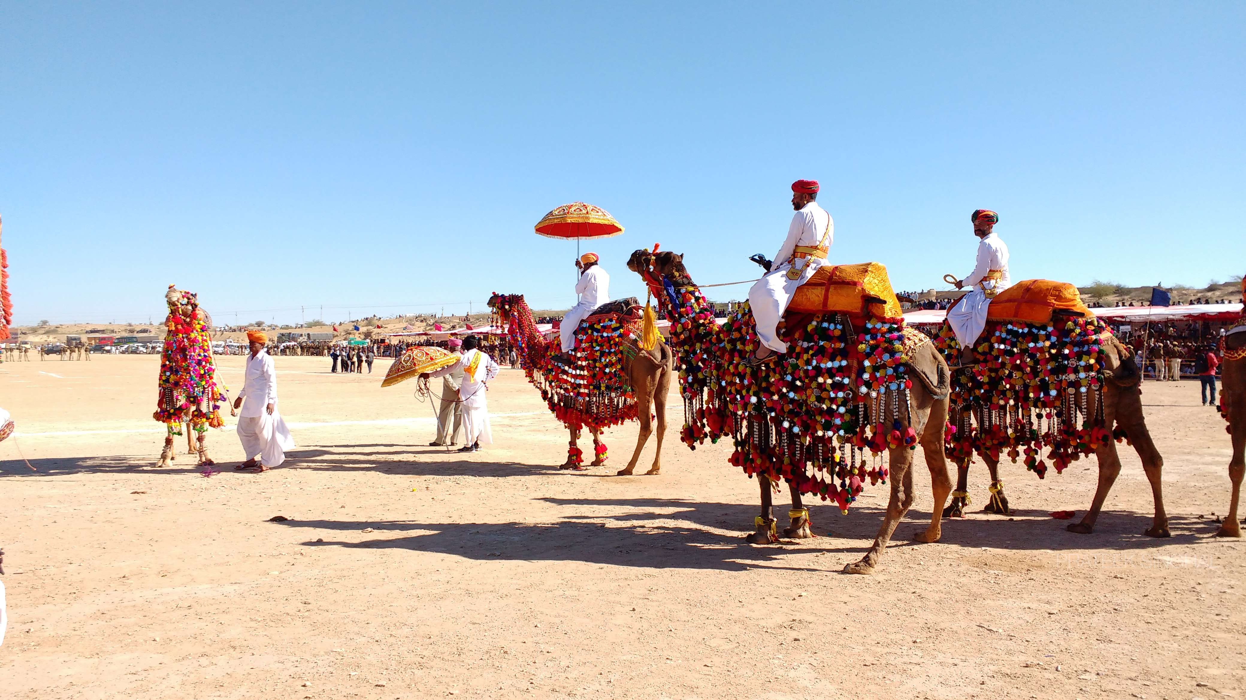 Attend Jaisalmer Desert Festival