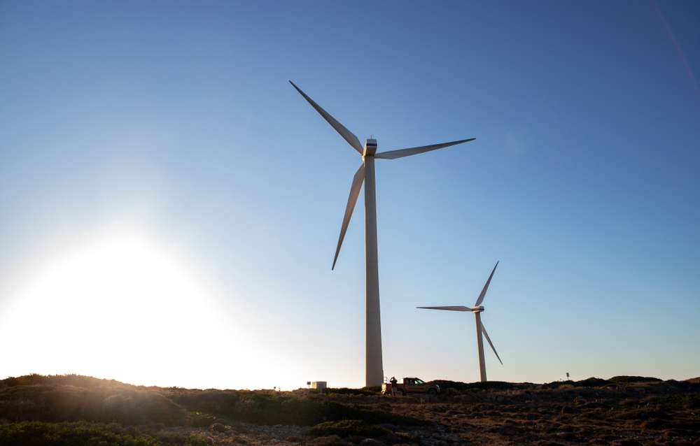 Stroll Through The Windmill Park