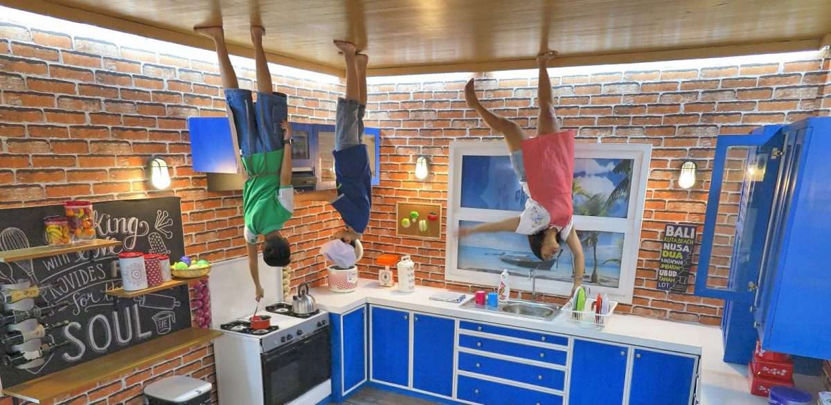 Enjoy Upside Down World