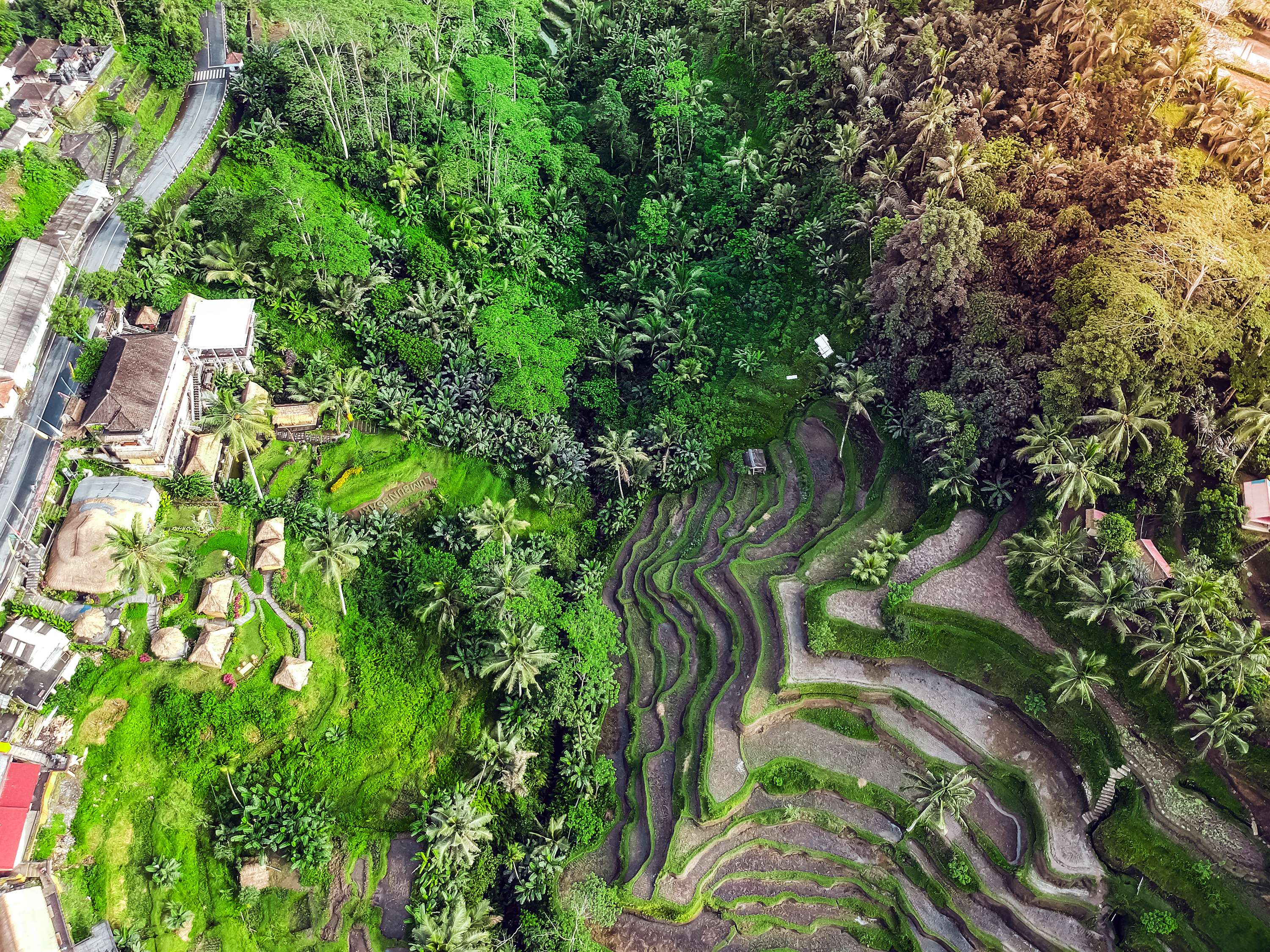 See Bali from High up Above