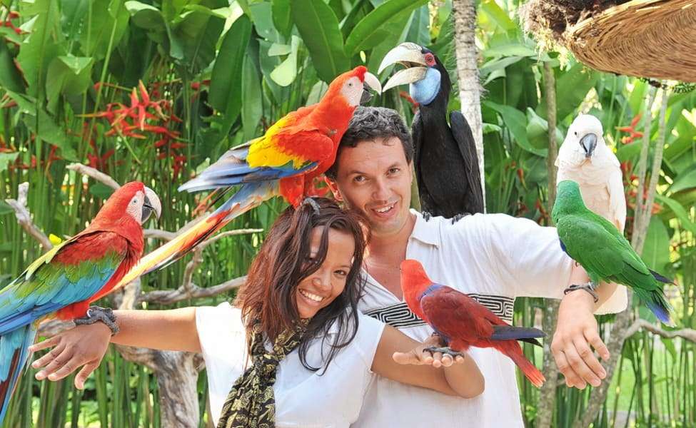 Spend Time with Birds at Bali Bird Park