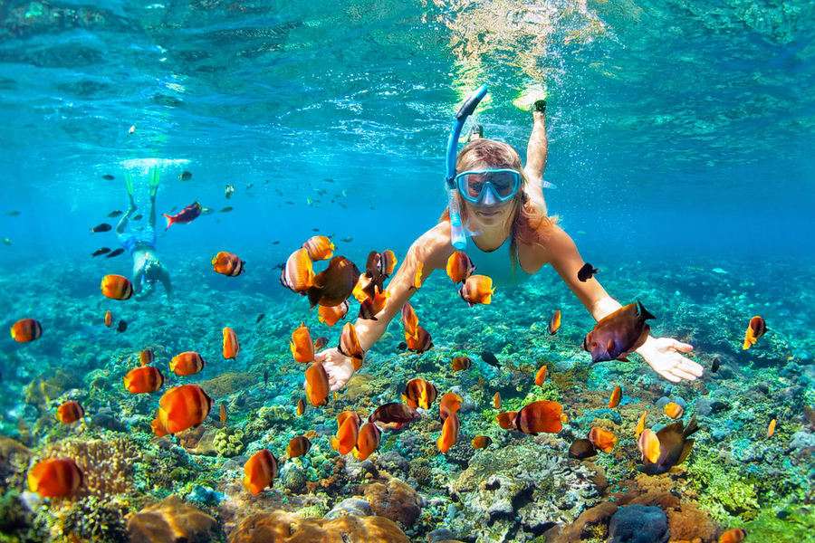 Enjoy Snorkelling at Sanur