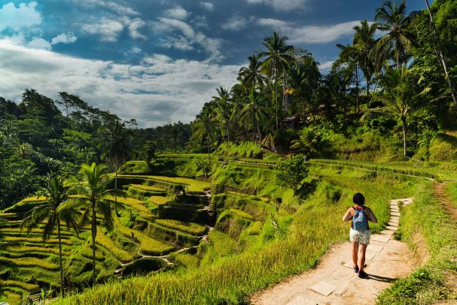 Visit Tegalalang Rice Terraces