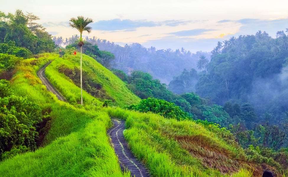 Enjoy Ubud Eco Trekking