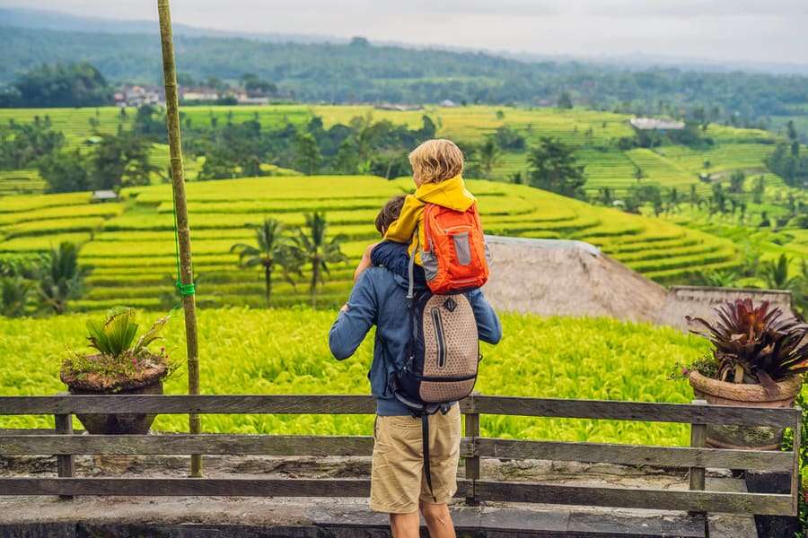 Take Pictures at Jatiluwih Rice Terraces