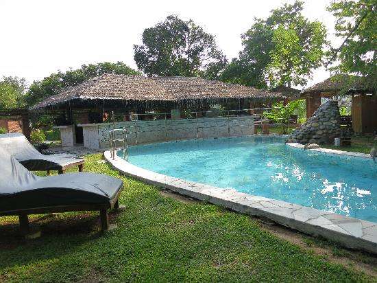 De Roots Eco Resort