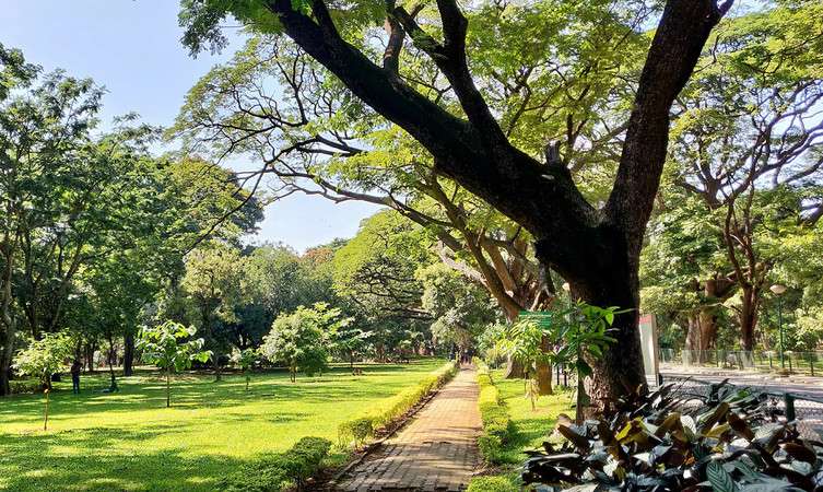 Picnic at Cubbon Park