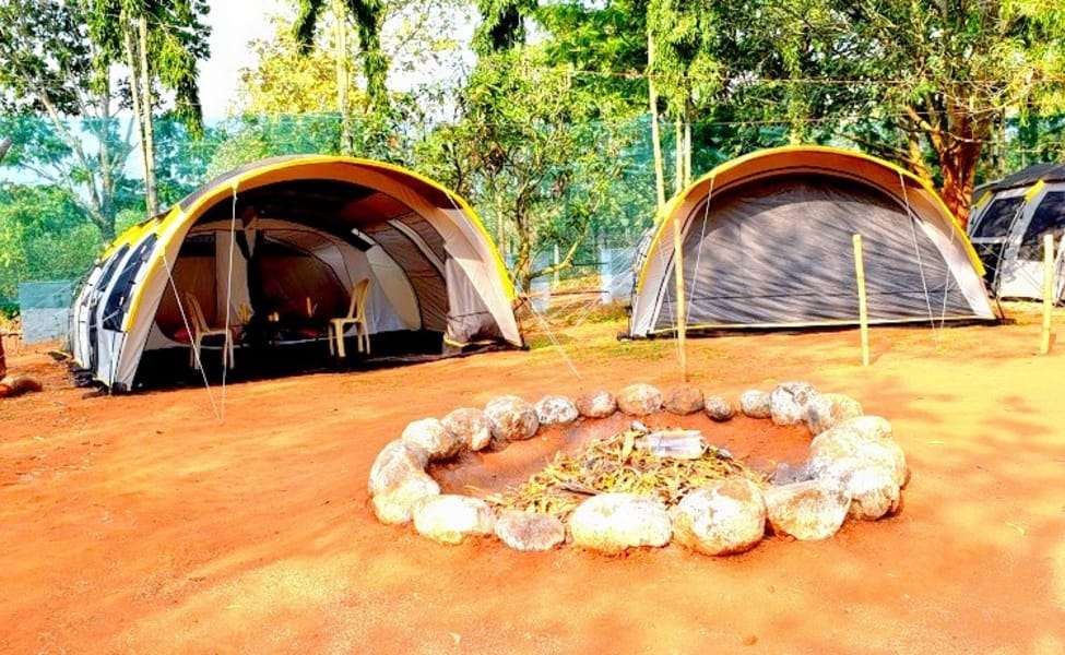 Adventure Stay in Forest