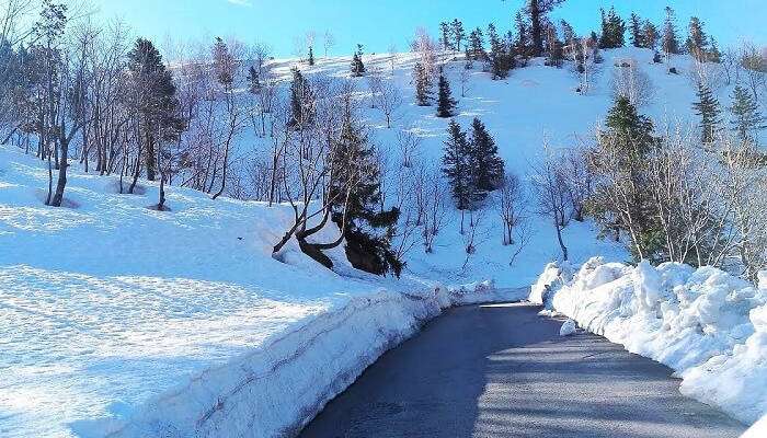 Visit Gulaba Village