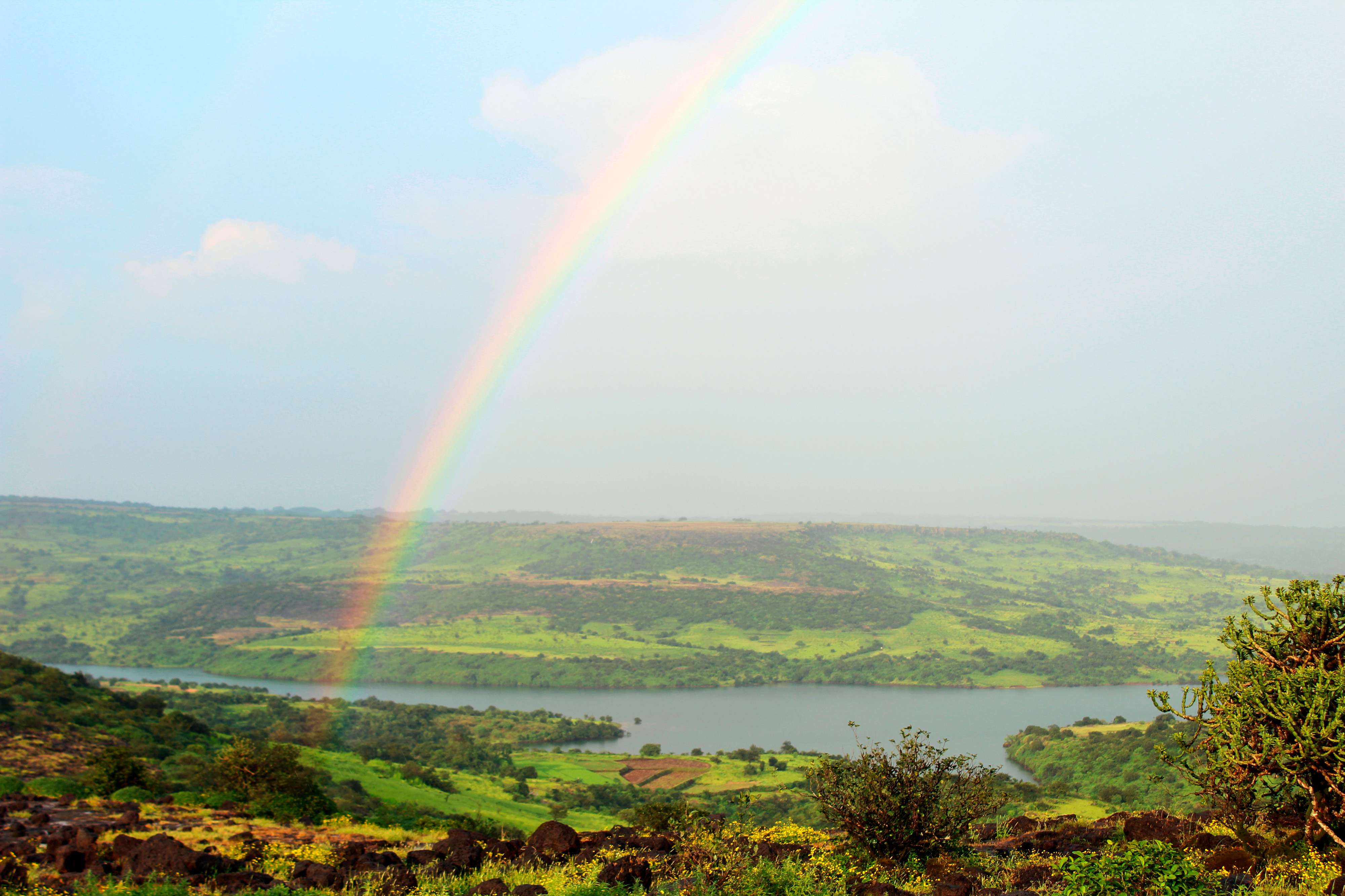 Kaas Plateau (255 Km from Mumbai)