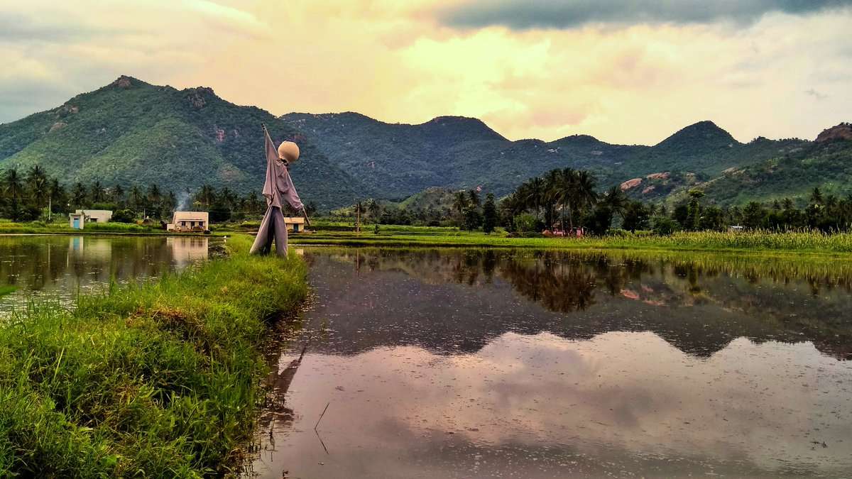 Amirthi Zoological Waterfalls