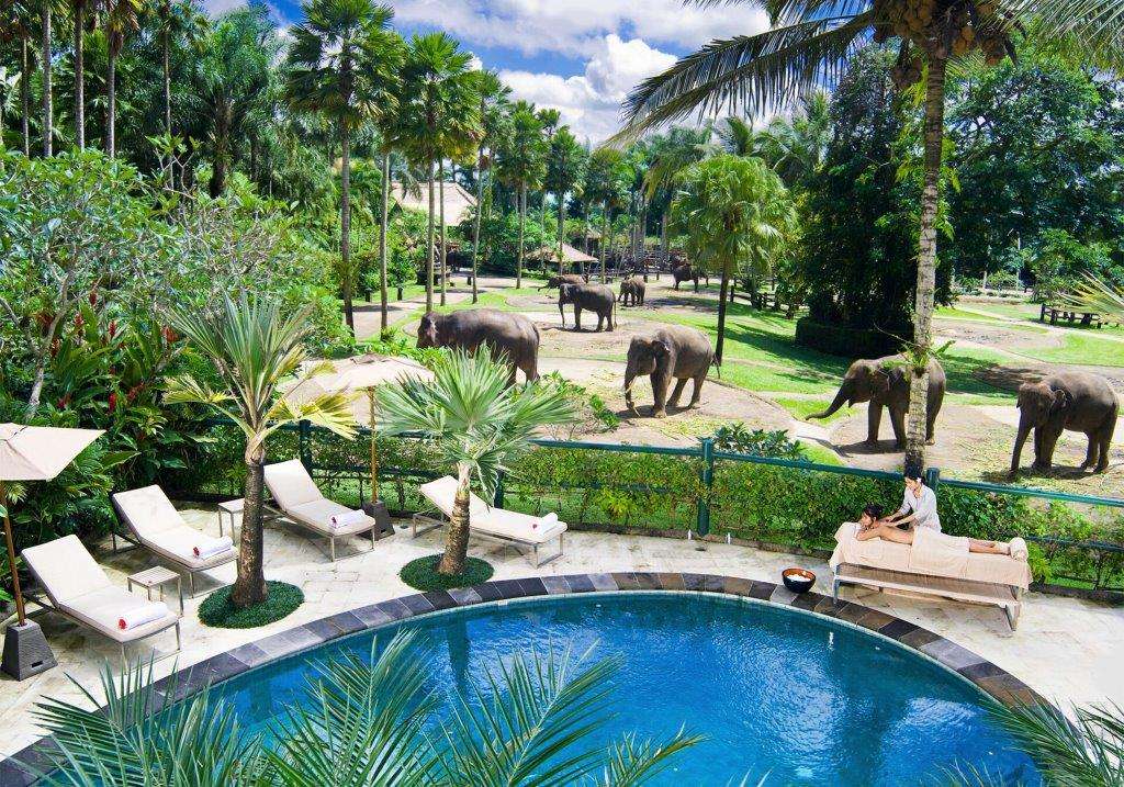 Mason Elephant Park & Lodge