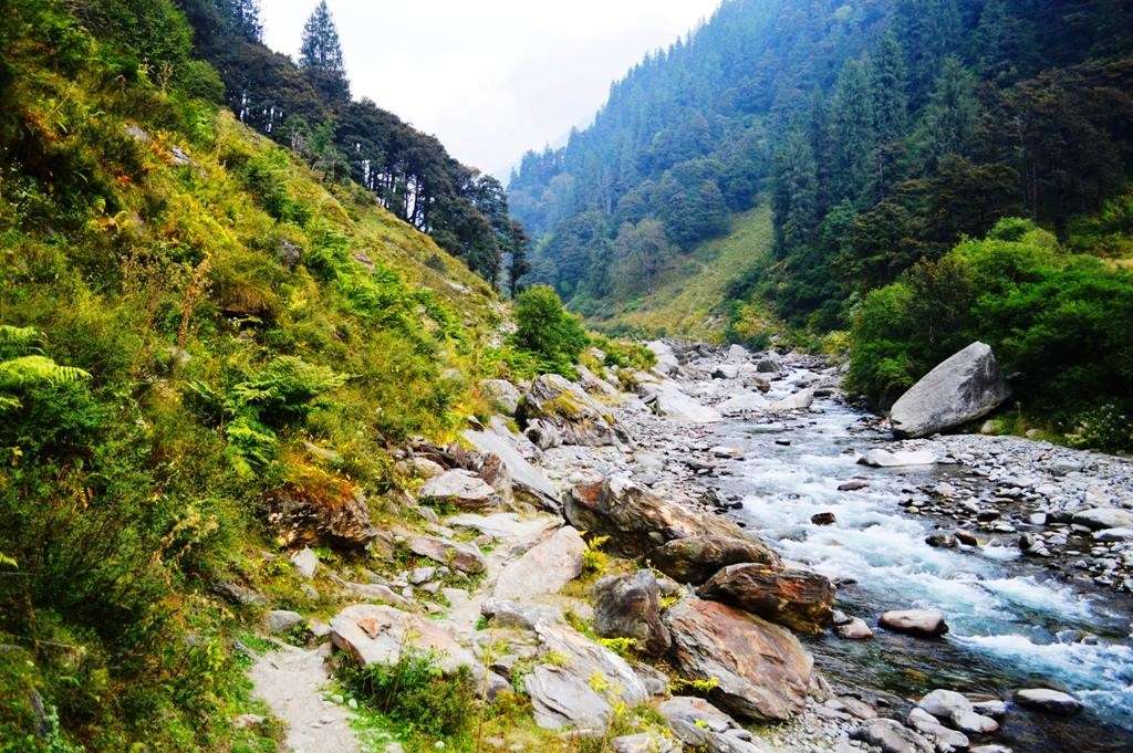 Take a Leisure Walk by Bir River