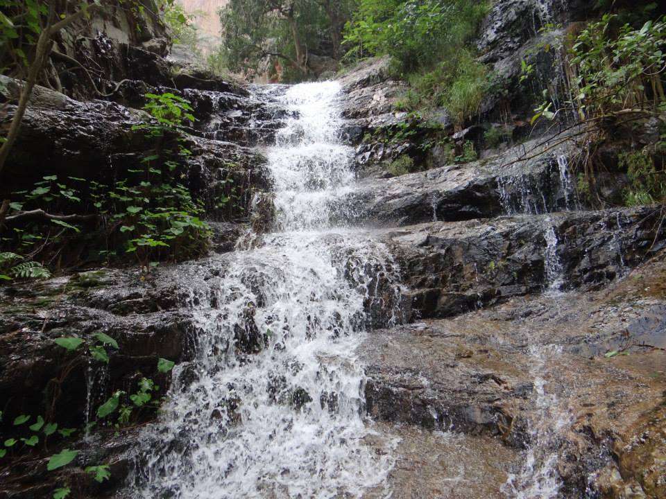 Tada Falls (92 km from Chennai)