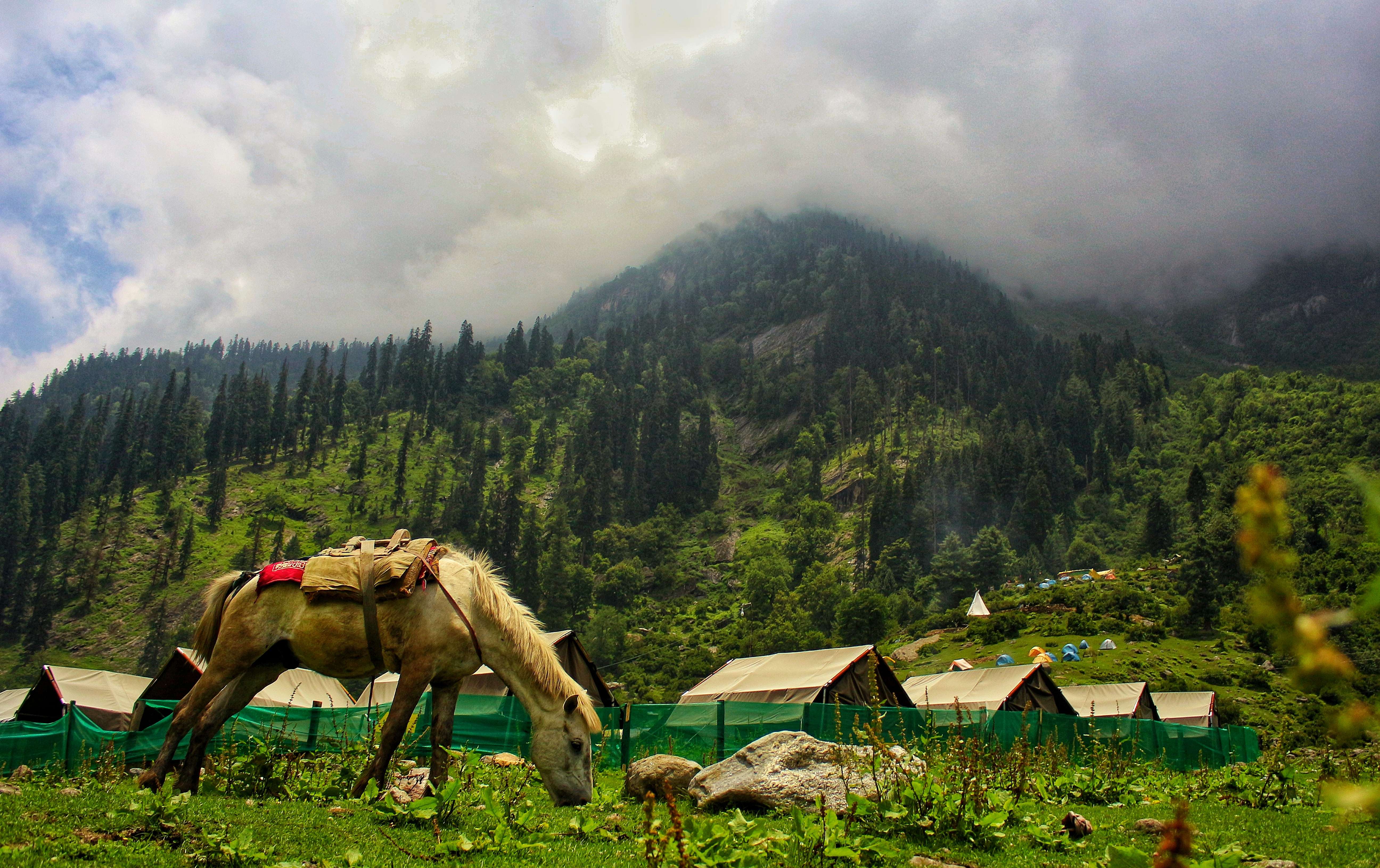 Kheerganga Trek Weather, Temperature & Best Time to Visit