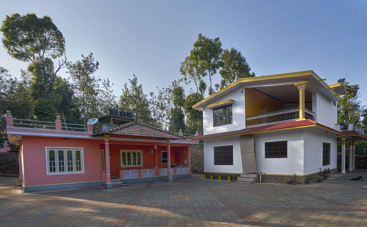  The Backpacker's Homestay