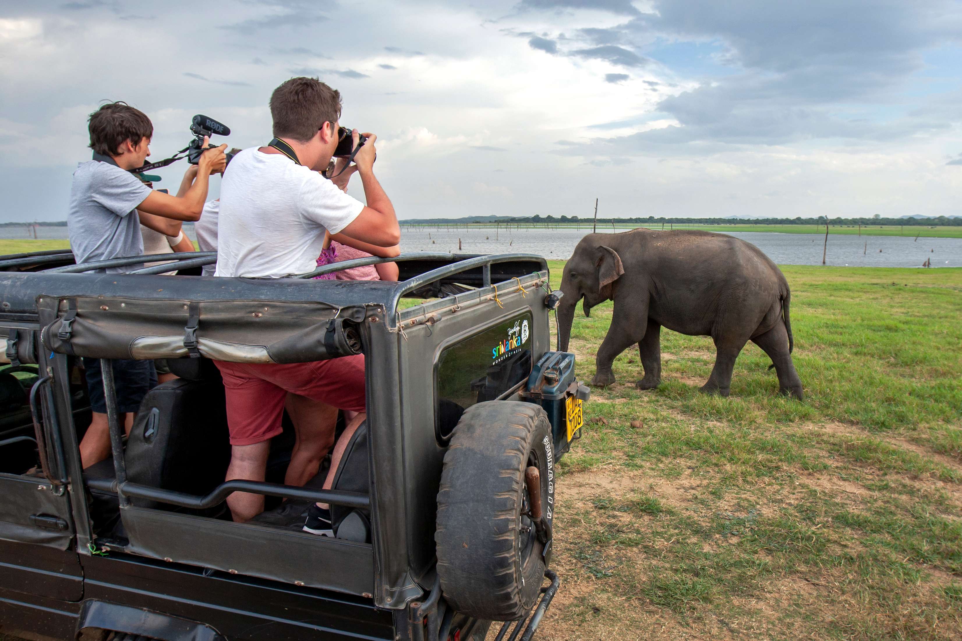 Kaudulla National Park Safari | Afternoon Tour | 30% off