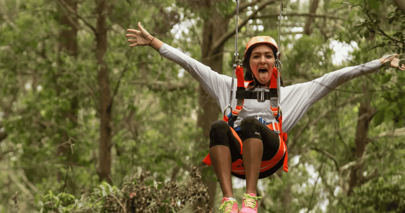 Illawarra Tree Top Zipline Adventure, Buy Now @ Flat 25% off