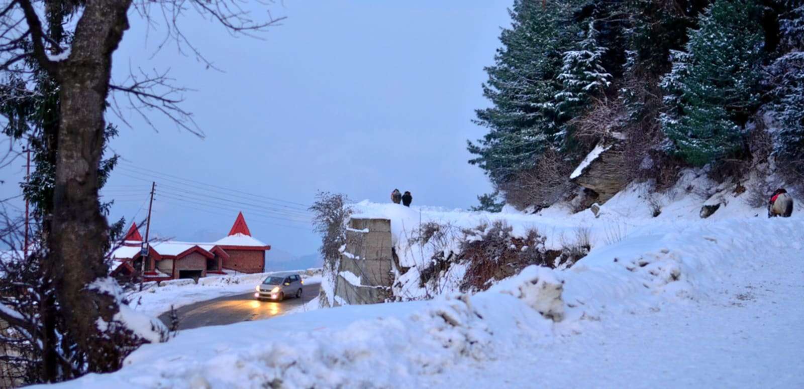 Kufri - (612 Km from Agra)