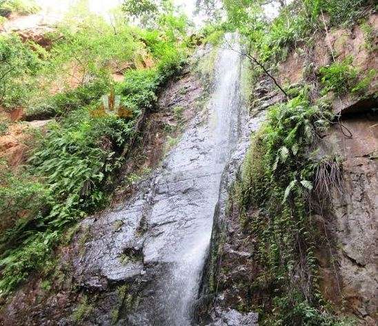Kailasakona Waterfalls (92 km from Chennai)