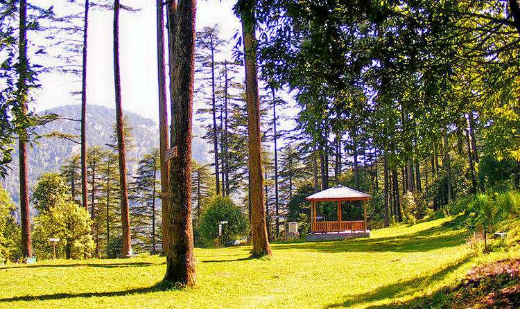Dhanaulti (390 km from Delhi)